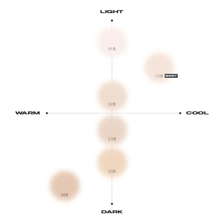 Blur Powder Pact - 5 Shades (9g)