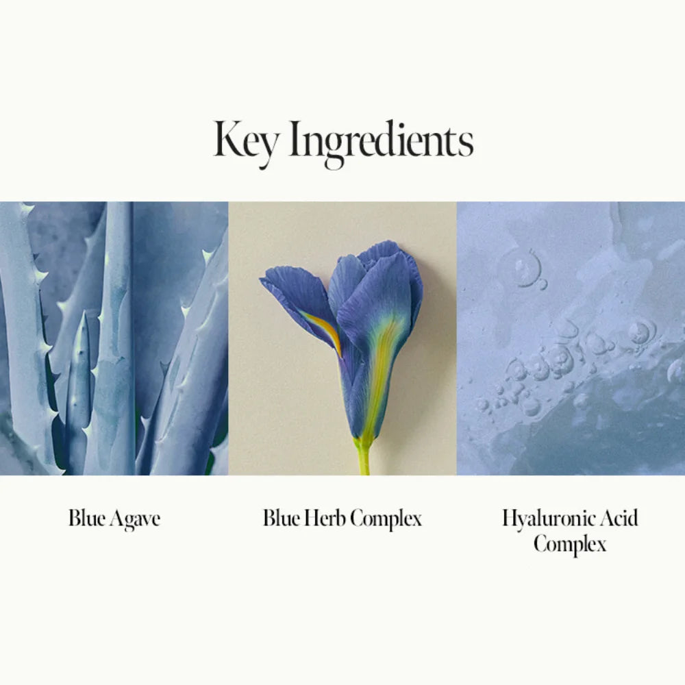 Shower Time Parfum Mist (100ml)