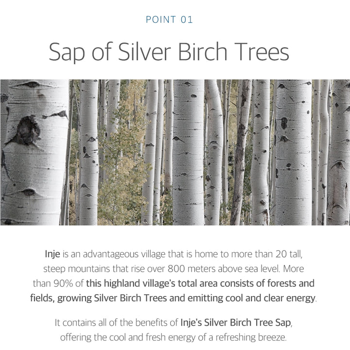 Infographic about Round Lab's Korean Dokdo line and the soothing and moisture benefits of Silver Birch trees