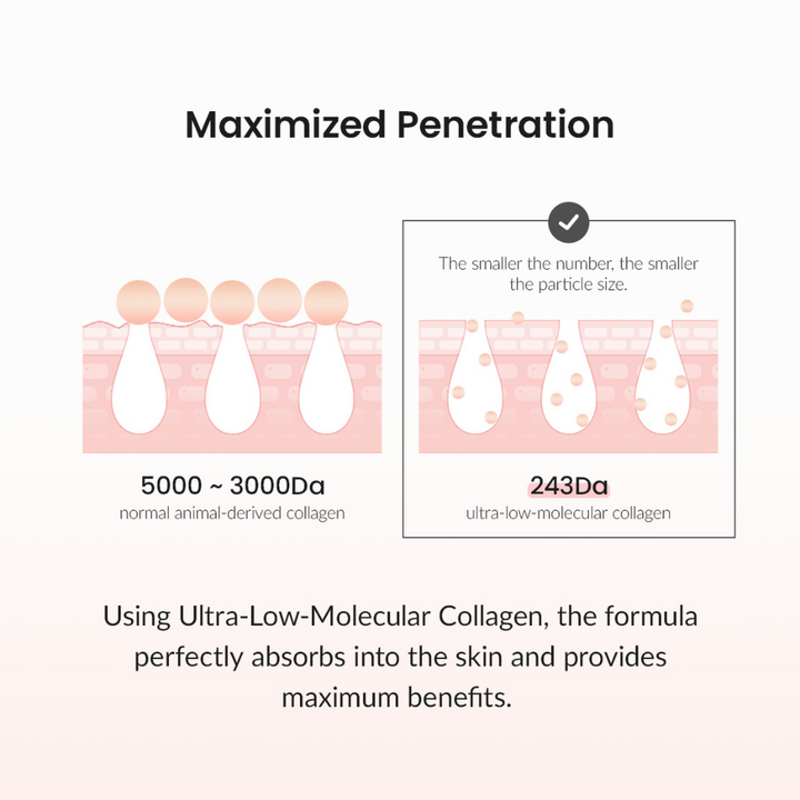 Pore Tightening Collagen Cream (50ml)